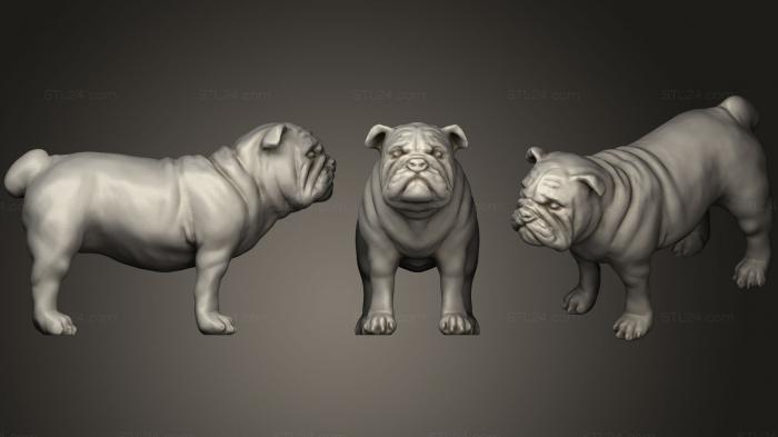Статуэтки животных (Бульдог (1), STKJ_0770) 3D модель для ЧПУ станка
